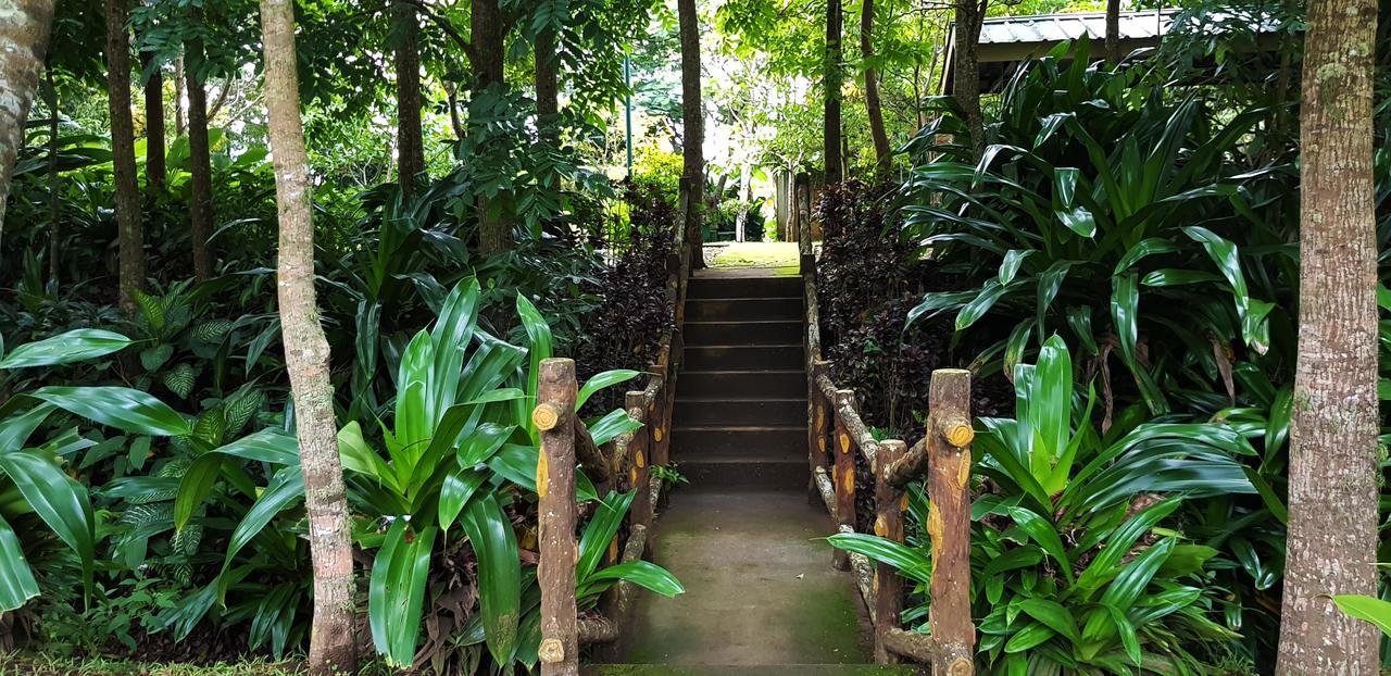 Tagaytay Summer House Tagaytay City Exteriör bild